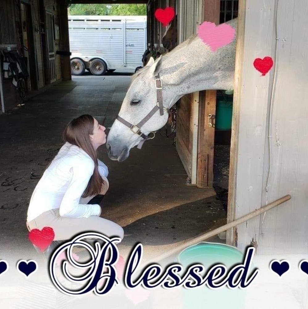 Meet your Posher, Judy